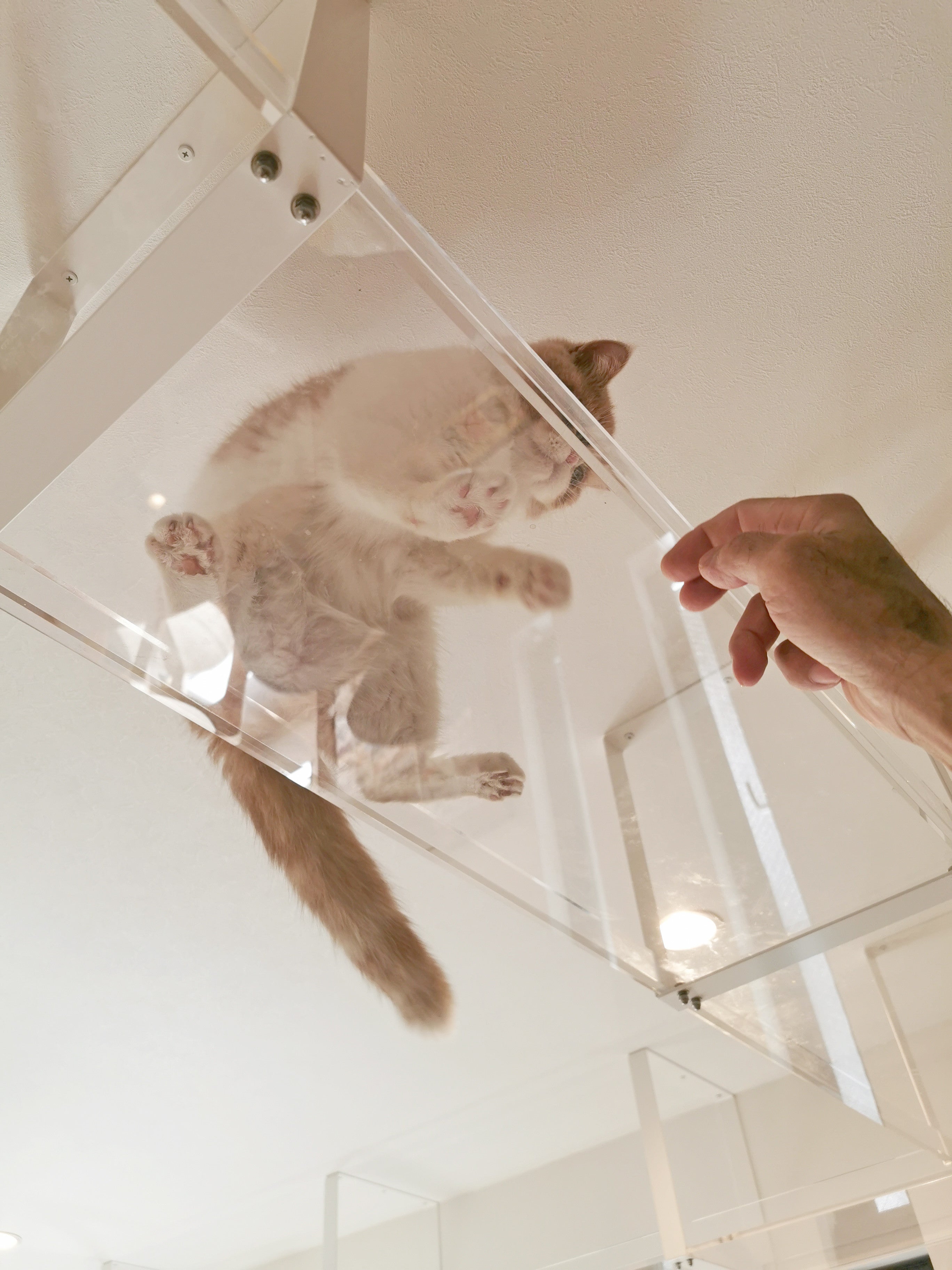 写真:事例