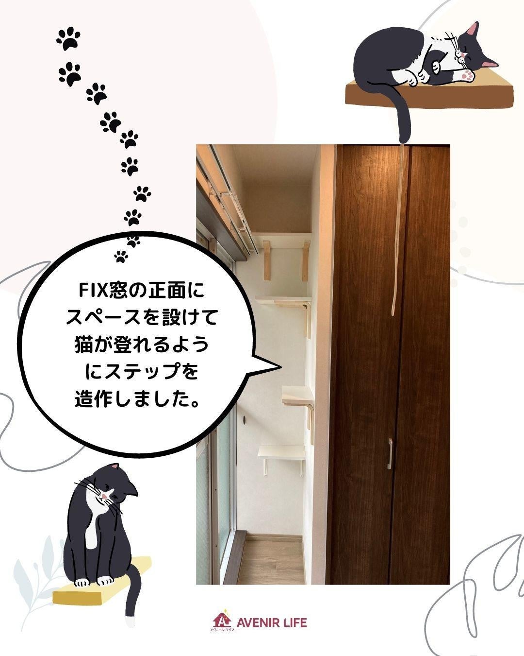 写真:事例