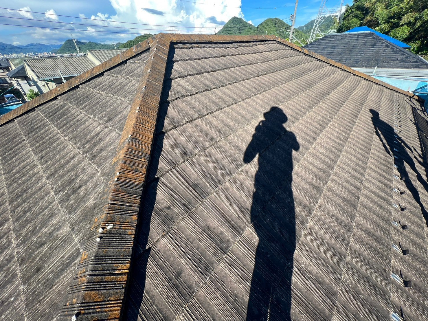 写真:事例