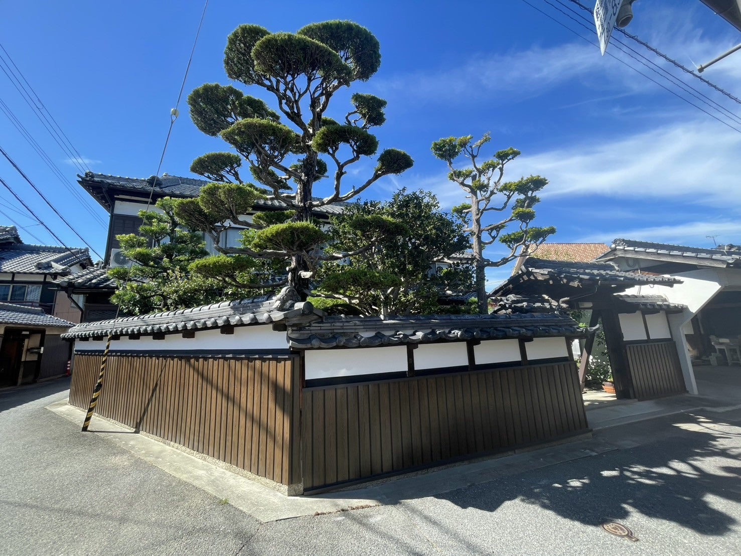 写真:事例