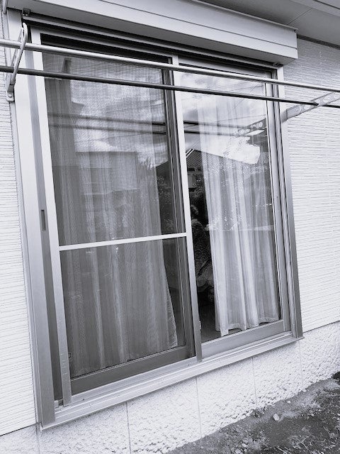 写真:事例