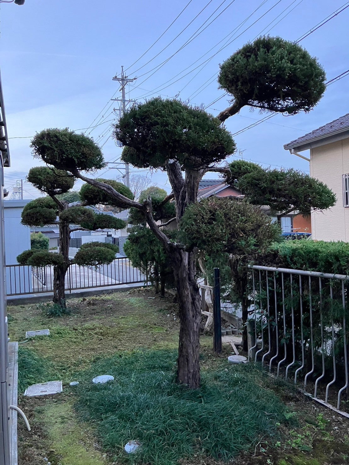 写真：リフォーム事例