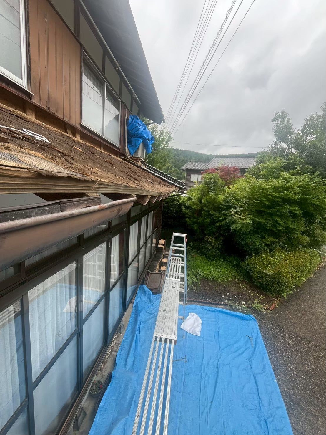 写真：事例