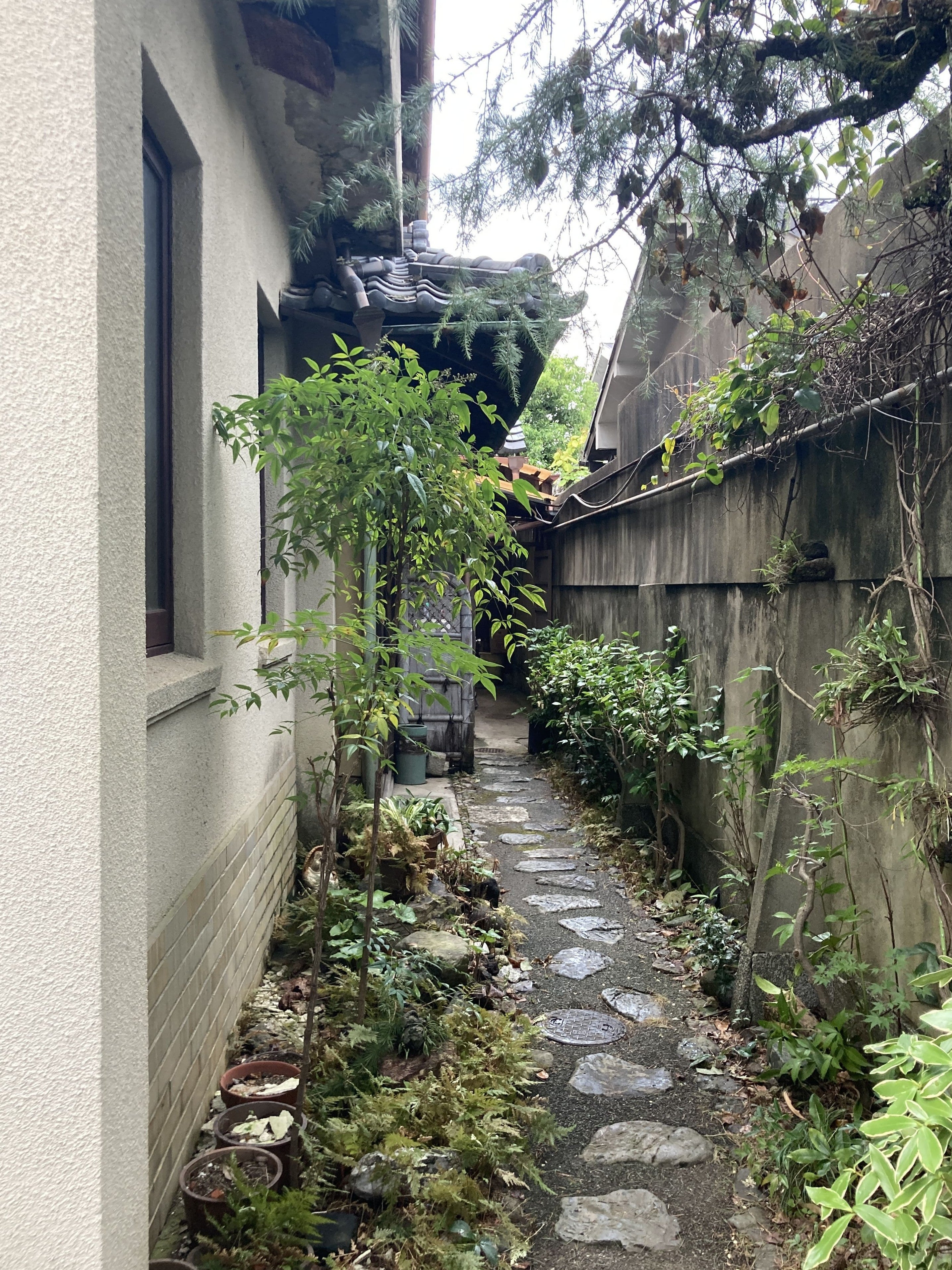 写真：事例