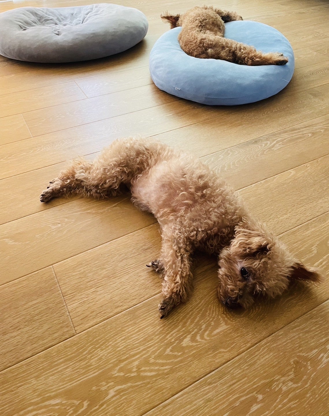 写真:事例