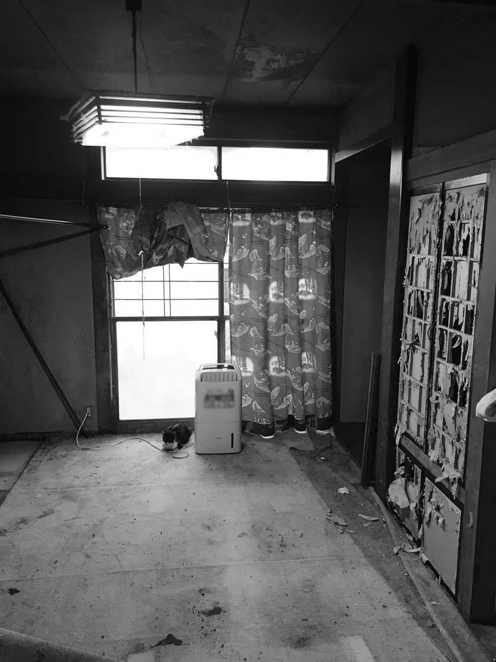 写真:事例