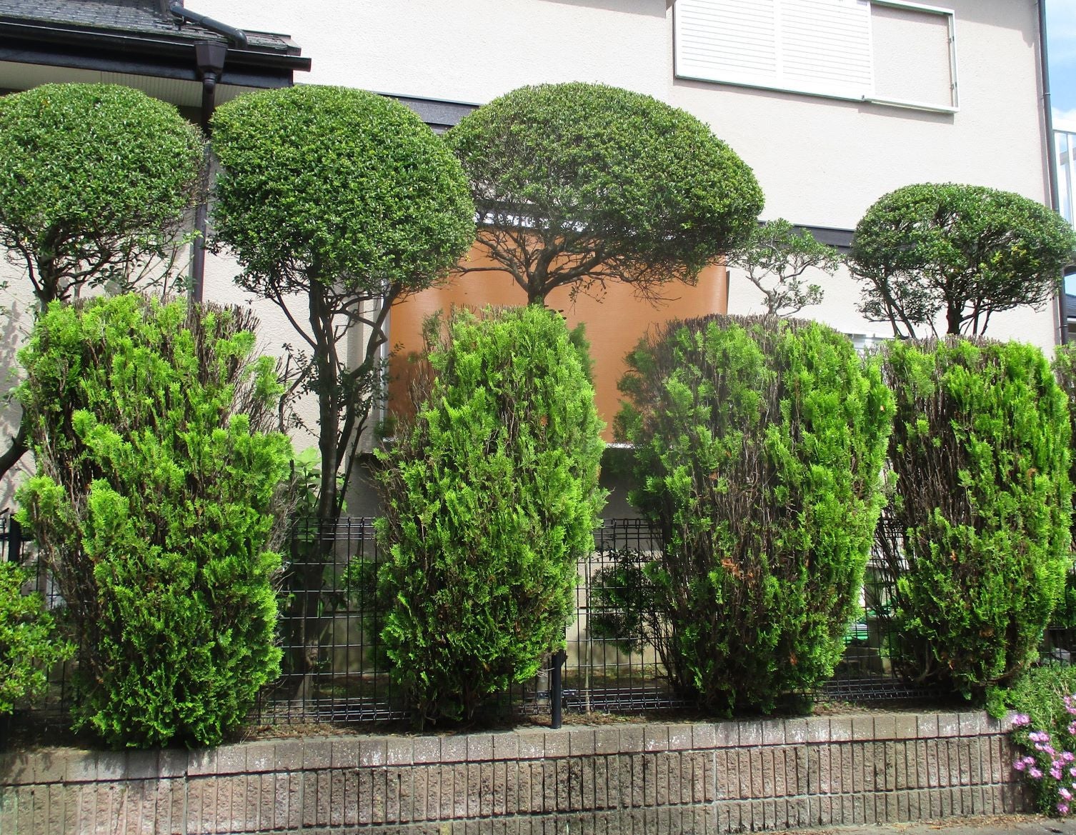 写真:事例