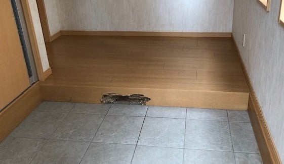 写真：事例