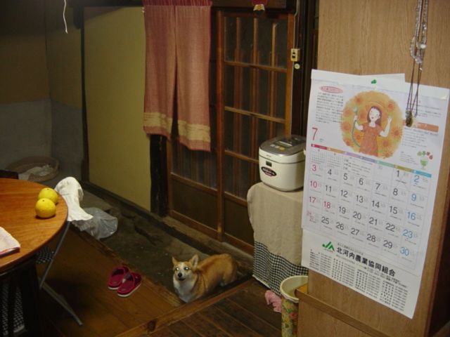 写真：リフォーム事例