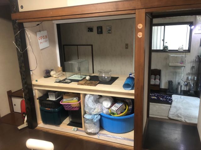 写真:事業者画像