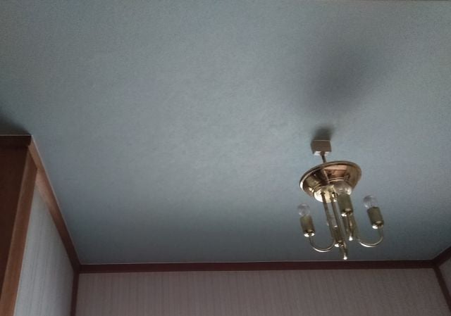 写真：事業者画像