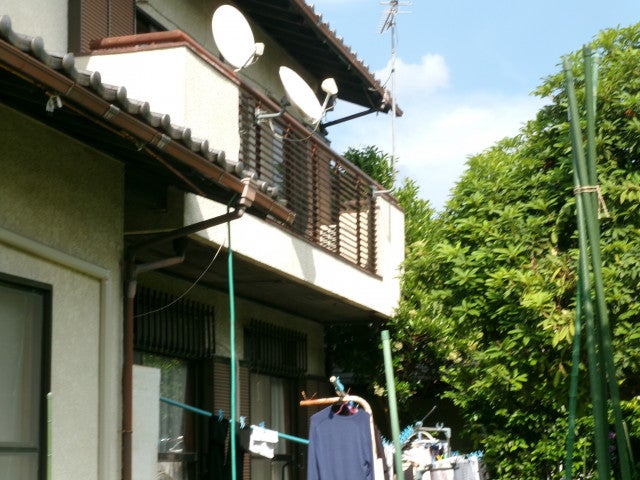 写真:事業者画像