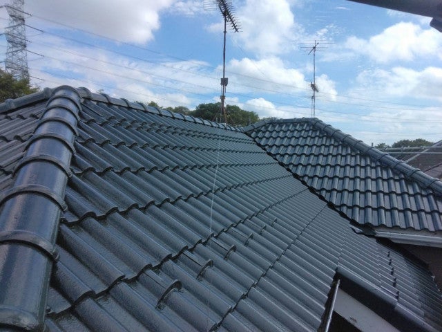 写真：事業者画像