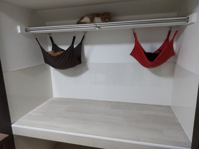 写真：事業者画像