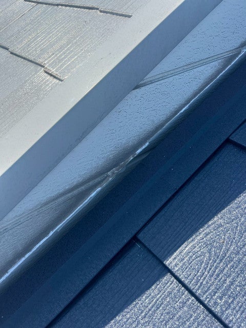 写真：事業者画像