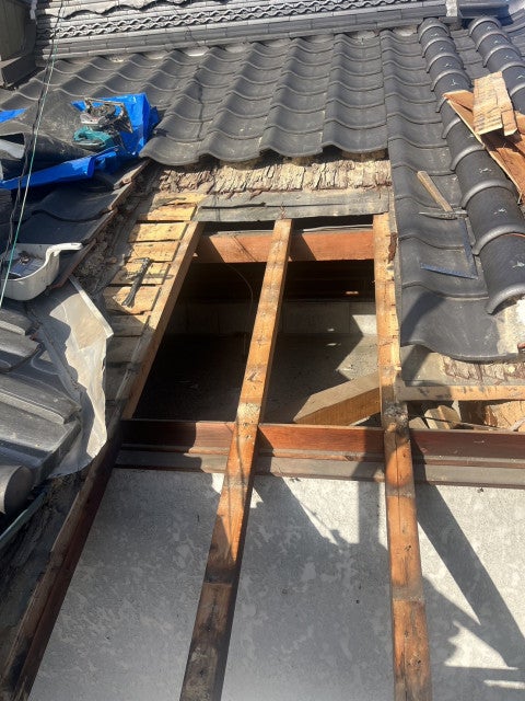 写真：事業者画像