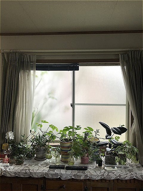 写真：リフォーム事例