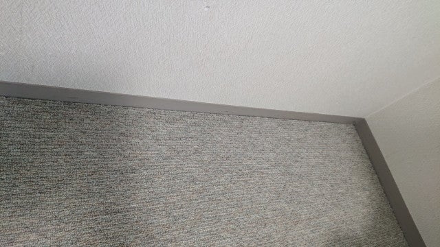 写真:事業者画像