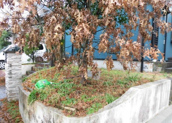 写真：リフォーム事例