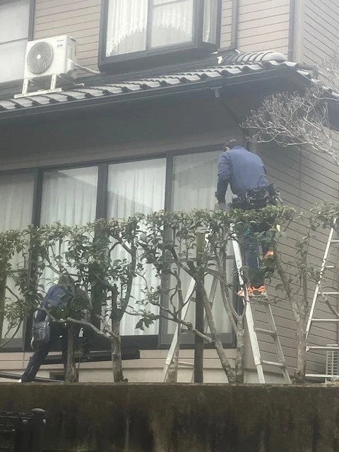 写真：事業者画像