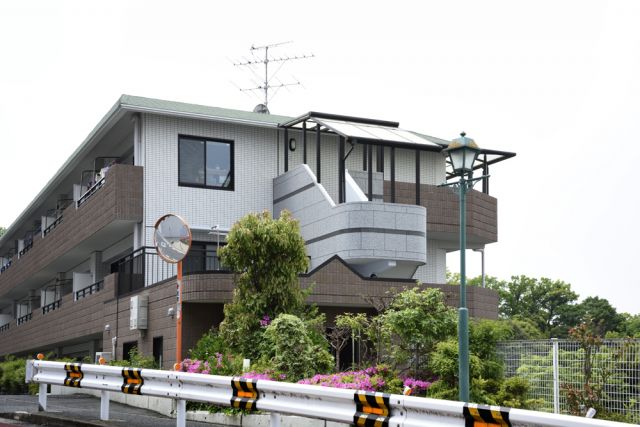 写真