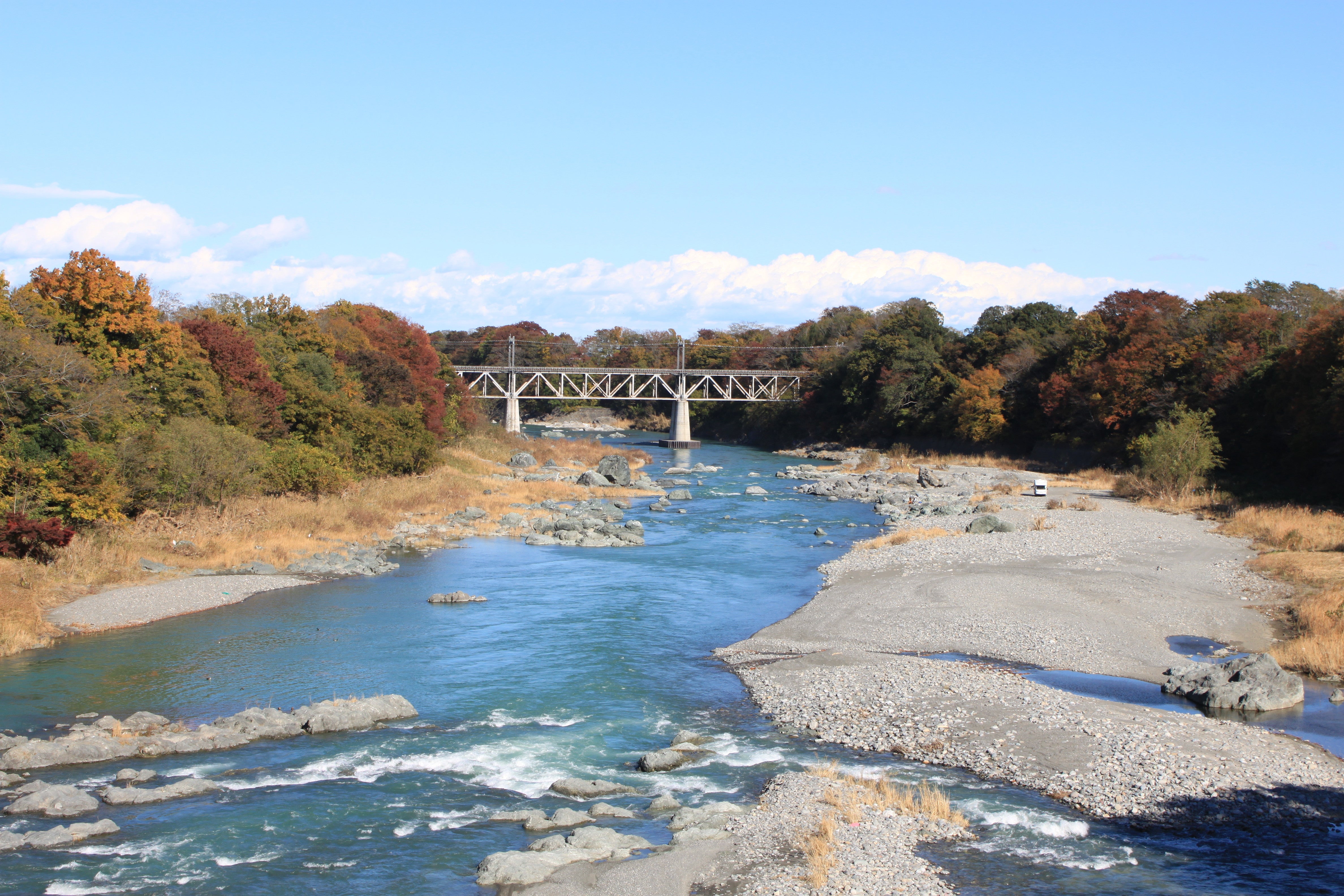 写真