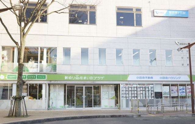写真：事業者画像