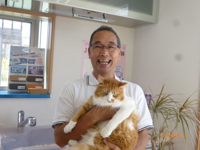 写真：