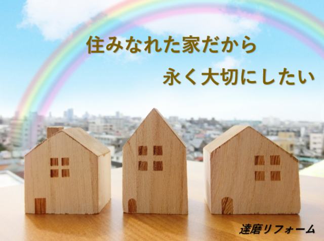 写真：