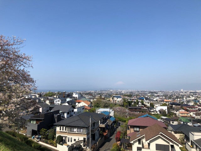 写真: