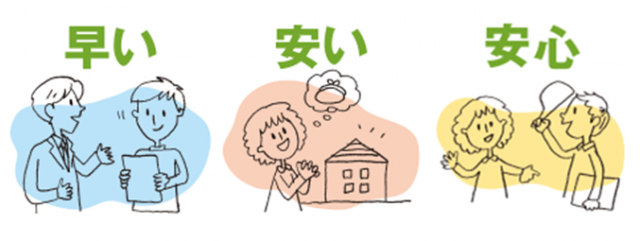 写真：