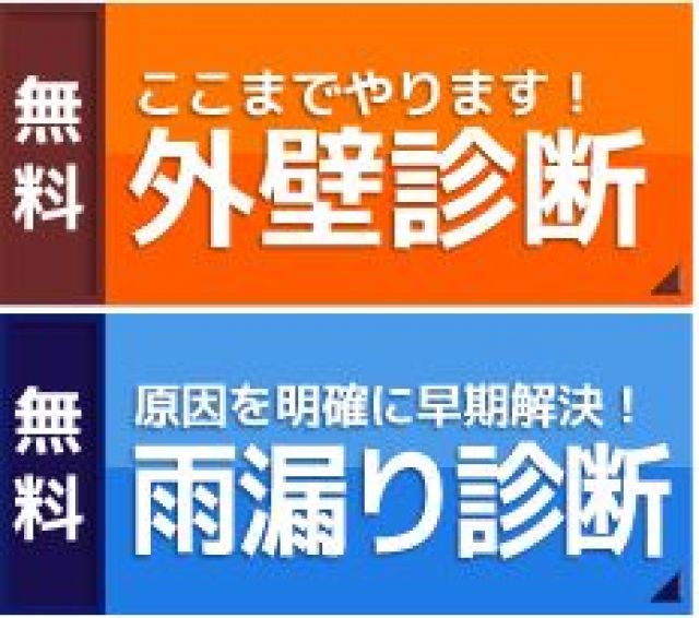 写真: