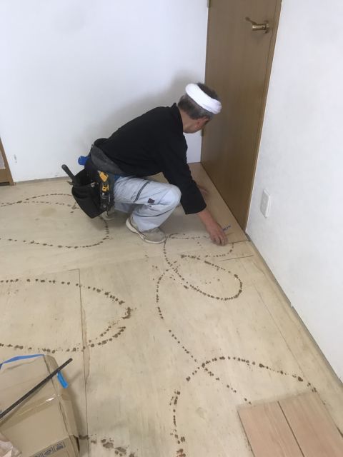 写真:
