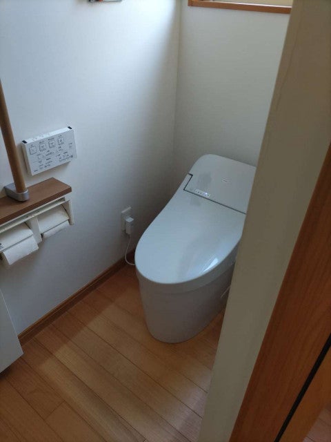 写真: