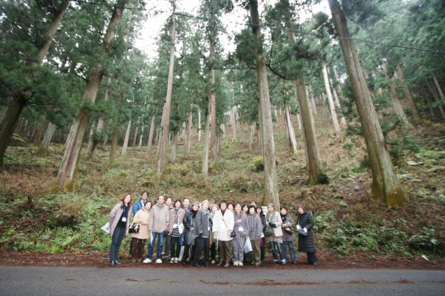 写真：H30年 奈良吉野 県産木材 見学ツアー
