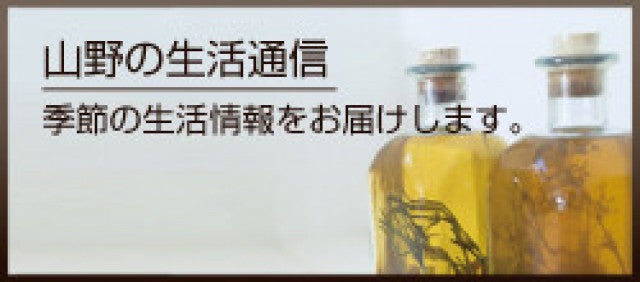 写真：