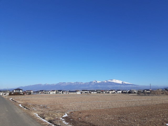 写真: