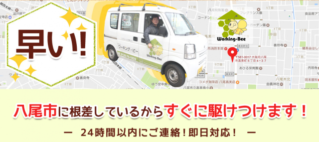 写真: