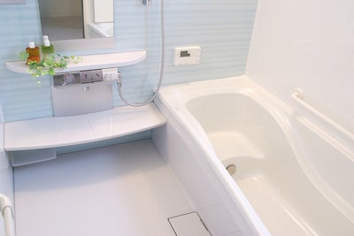 写真：それぞれの特徴を比べてみる