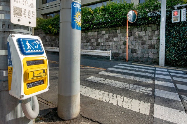 写真: