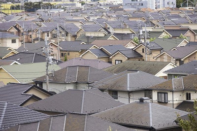 写真: