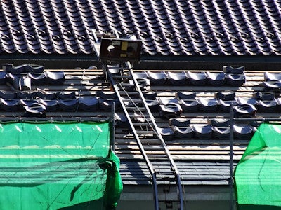写真: