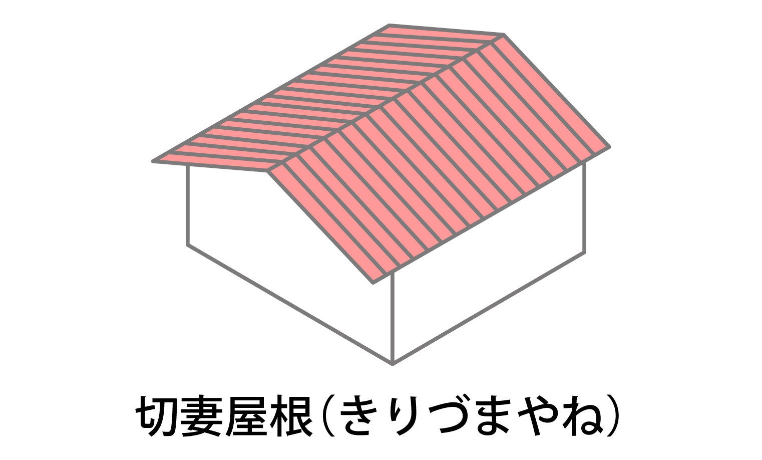 写真: