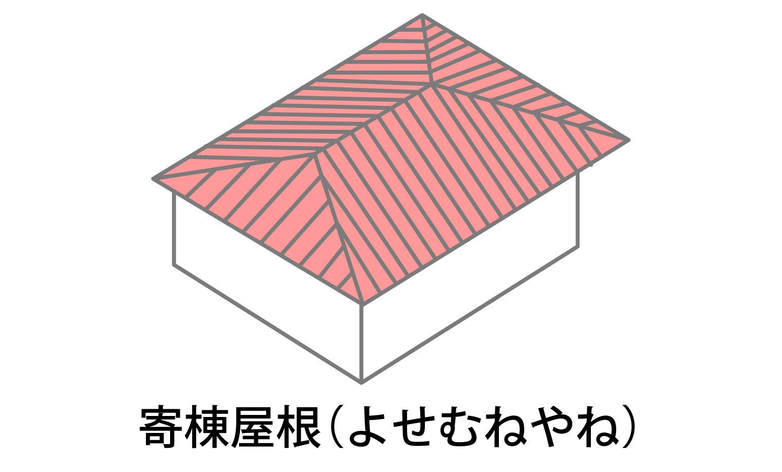 写真:
