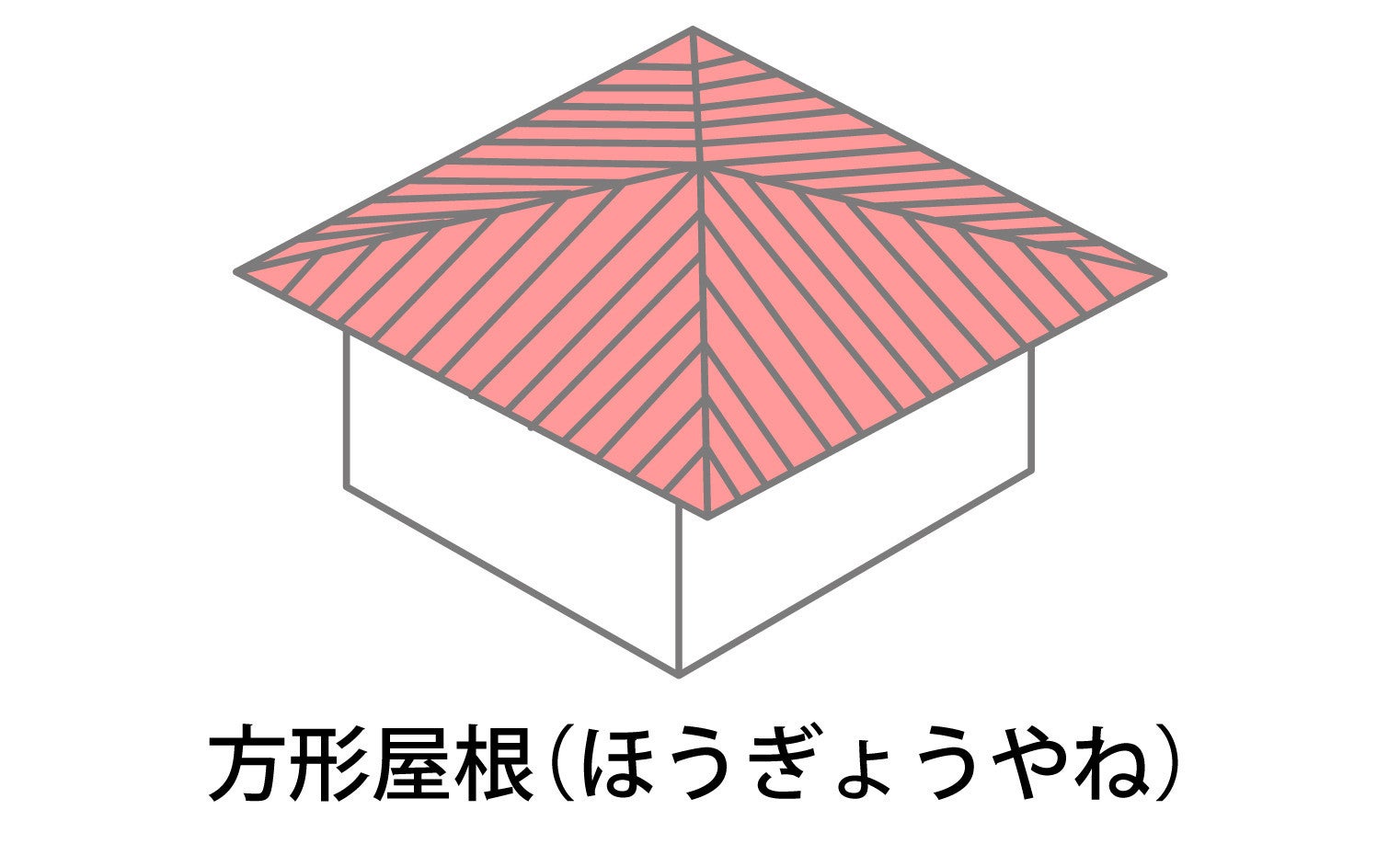 写真: