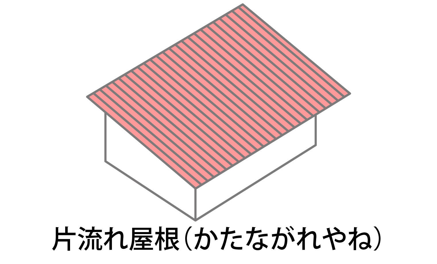 写真:
