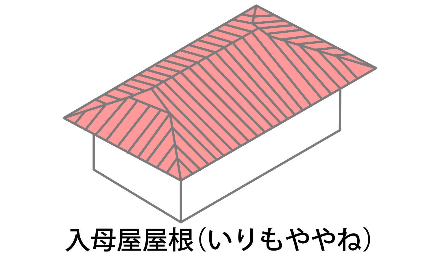 写真: