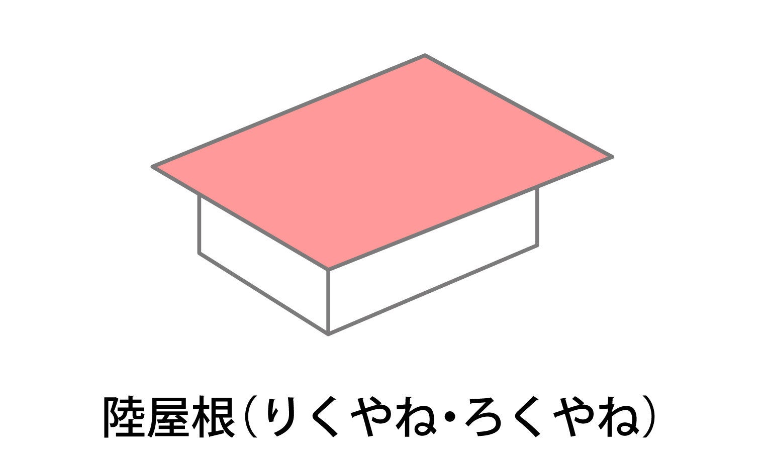 写真: