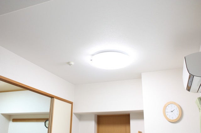 写真: