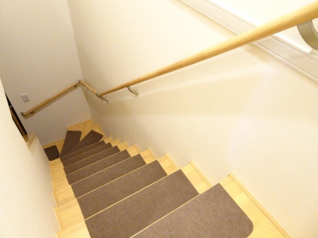 写真: